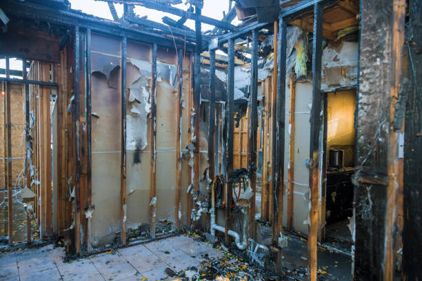 Professional Fire Damage Assessment technician working in Hamburg, MN