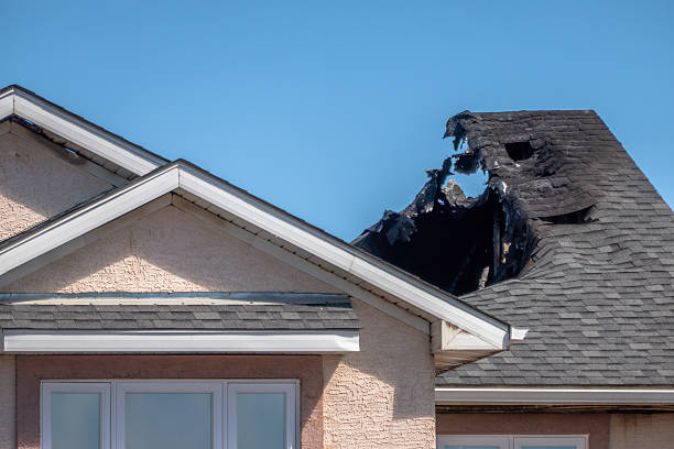 Top rated local Fire Damage Assessment specialists in Hamburg, MN
