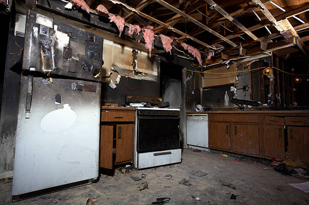 Licensed Fire Damage Assessment service in Hamburg, MN - Fire Damage Laser Cleaning